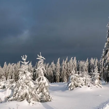 Bellevue Aschberg * Klingenthal