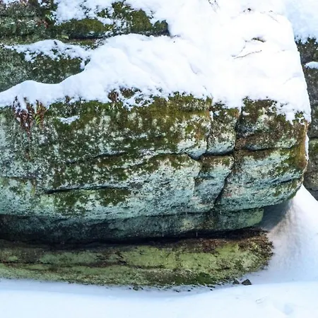 Ferienhaus Bellevue Aschberg *