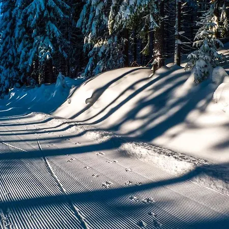 Bellevue Aschberg Ferienhaus