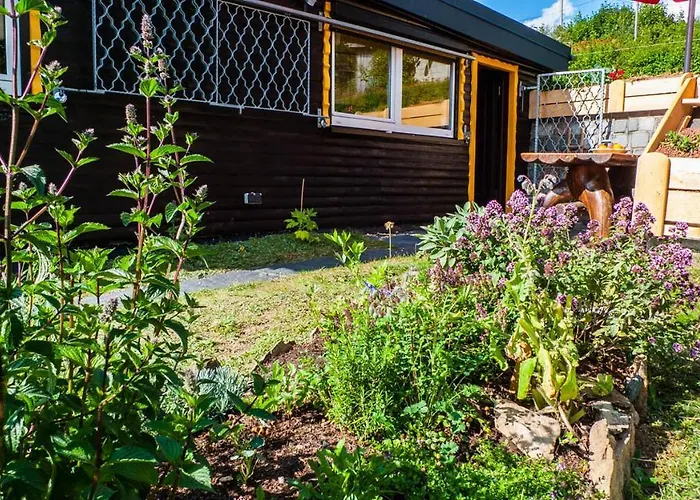 Bellevue Aschberg * كلينغنتال