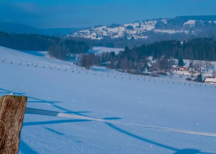 Дом отдыха Bellevue Aschberg Клингенталь