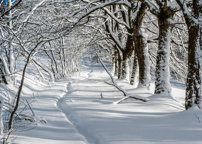 Bellevue Aschberg بيت للعطل