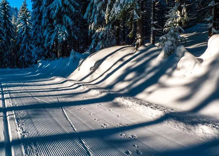 Bellevue Aschberg بيت للعطل